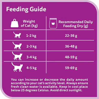 Whiskas Chicken Adult Dry Cat Food