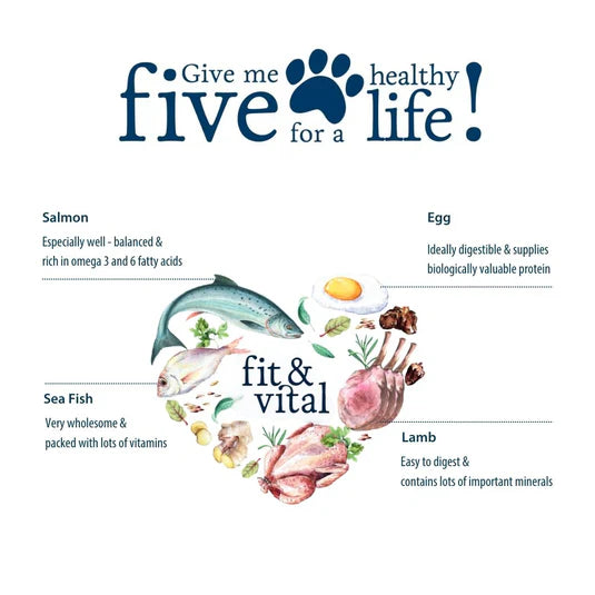 Happy Dog Fit & Vital Junior