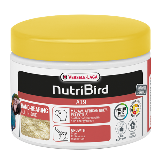 معجون تغذية الطيور Versele Laga NutriBird A19 - 250 غرام