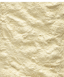 Versele Laga NutriBird A21 Bird Breeding Paste - 800G