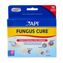 API Fungus Cure Powder 10 Packets