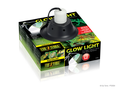Exo Terra Glow Light Terrarium Lamp Fixture | Dome Lighting Fixture | Medium 21 cm