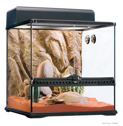 Exo Terra Desert Habitat Kit | Complete Reptile Terrarium Starter Set | Medium
