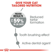 Royal Canin Dental Care Adult Dry Cat Food