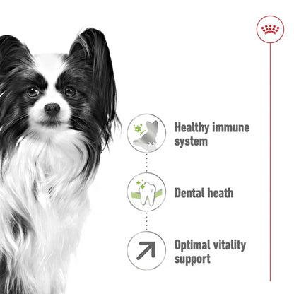 Royal Canin Size Health Nutrition XS Adult 8+ Senior Dog Dry Food 1.5kg