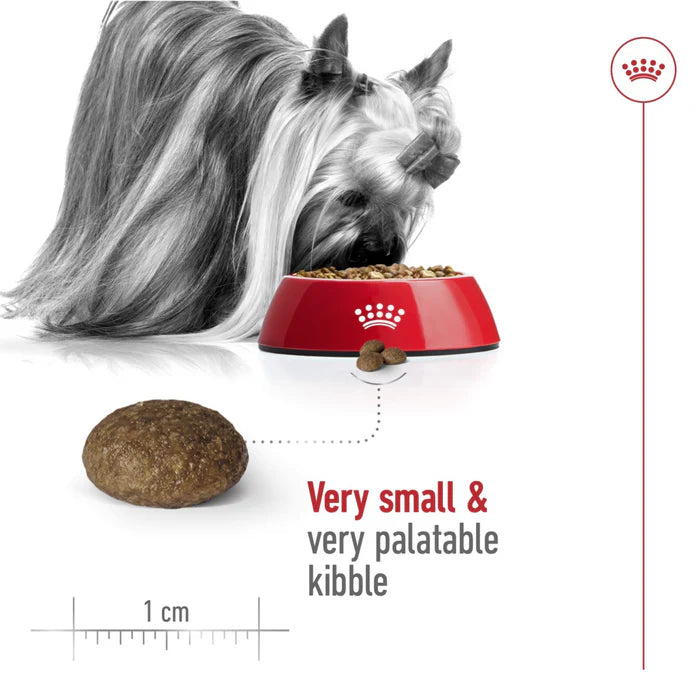 Royal Canin Size Health Nutrition XS Adult 8+ Senior Dog Dry Food 1.5kg