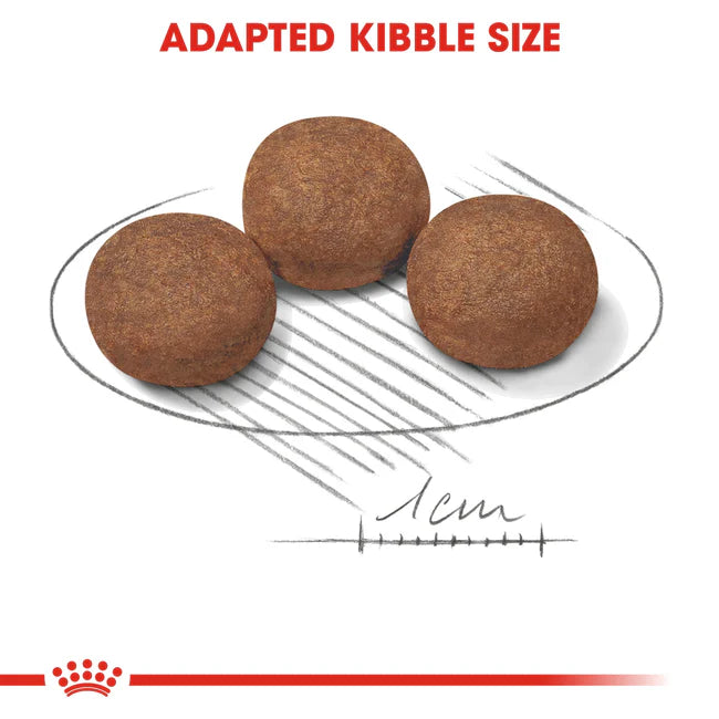 Royal Canin Medium Puppy Dry Food