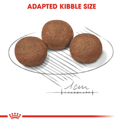 Royal Canin Medium Puppy Dry Food