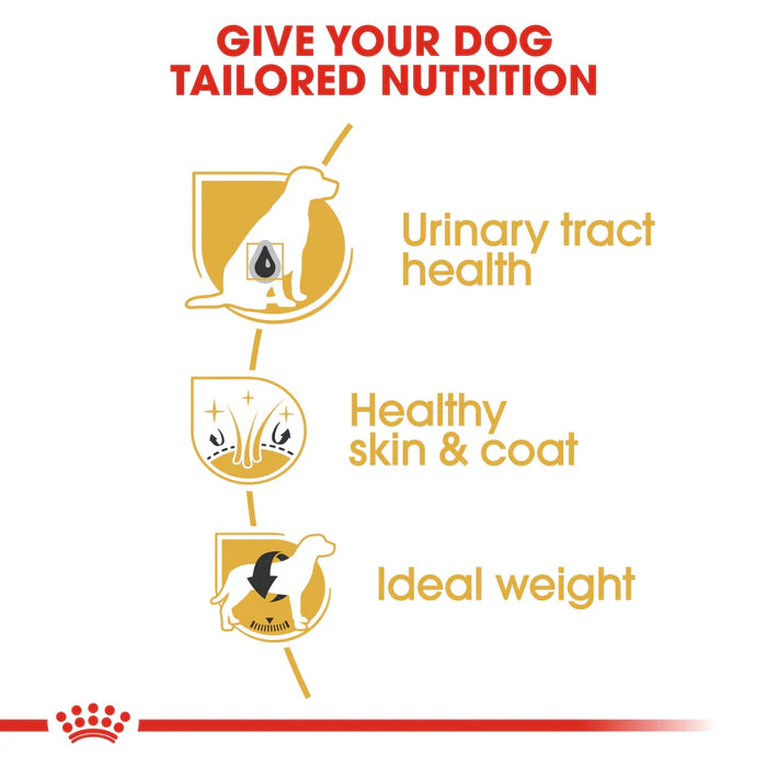 Royal Canin Bichon Frise Adult Dry Dog Food 1.5kg