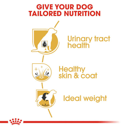 Royal Canin Bichon Frise Adult Dry Dog Food 1.5kg