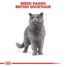 Royal Canin British Shorthair Adult Dry Cat Food 4KG