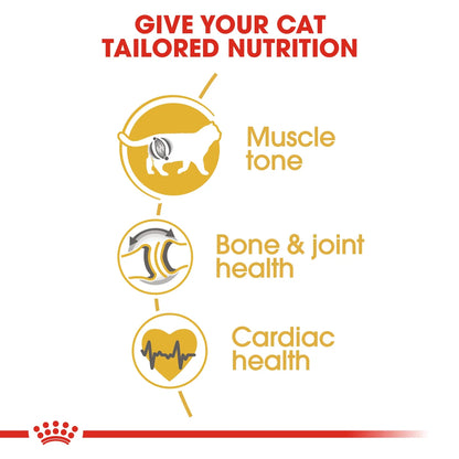Royal Canin British Shorthair Adult Dry Cat Food 4KG