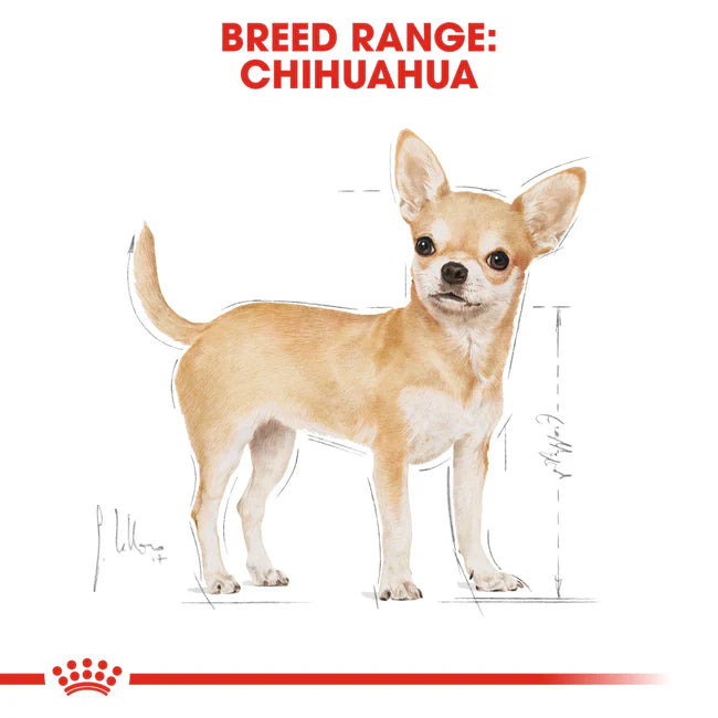 Royal Canin Chihuahua Adult Dry Dog Food 1.5KG