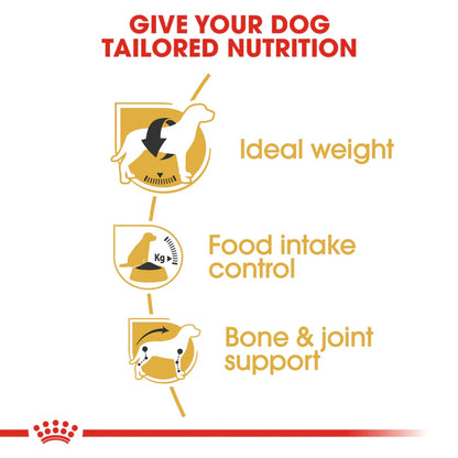 Royal Canin Beagle Adult Dry Dog Food 3KG
