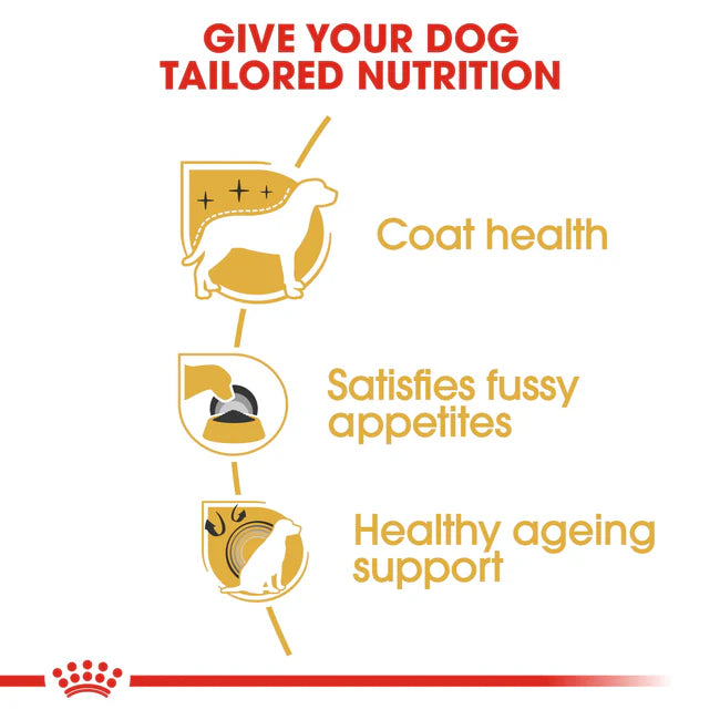 Royal Canin Yorkshire Terrier Adult Dry Dog Food 1.5KG