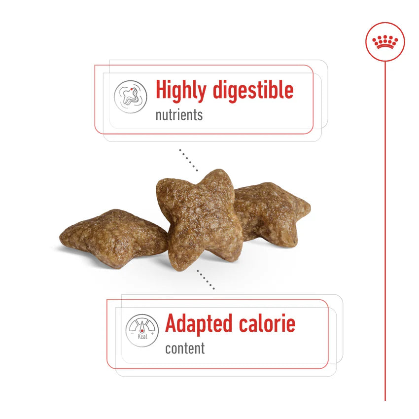 Royal Canin Mini Adult Dry Dog Food