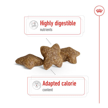 Royal Canin Mini Adult Dry Dog Food