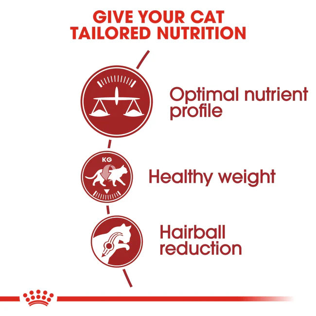 Royal Canin Regular Fit 32 Adult Dry Cat Food