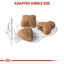 Royal Canin Sensible Adult Dry Cat Food
