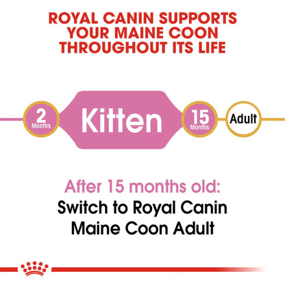 Royal Canin Maine Coon Kitten Dry Food 2KG