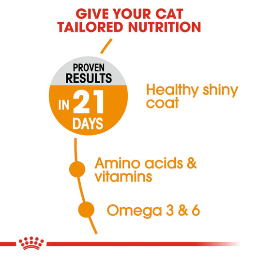 Royal Canin Hair & Skin Adult Dry Cat Food