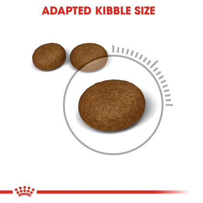 Royal Canin Hair & Skin Adult Dry Cat Food