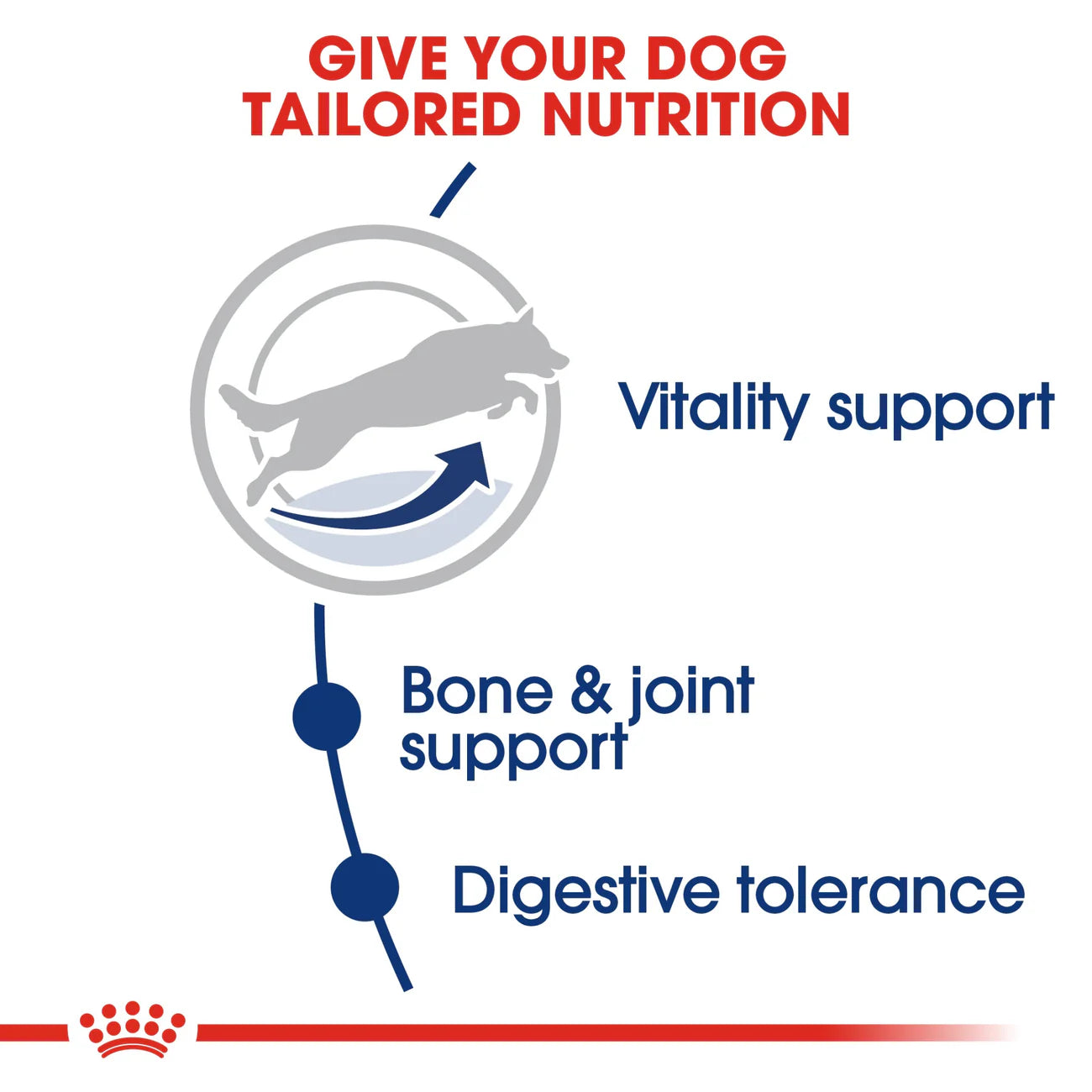 Royal Canin Maxi Adult 5+ Dry Dog Food 15KG
