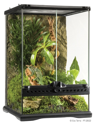 Exo Terra Natural Terrarium Mini Mini/Tall 30x30x45 cm