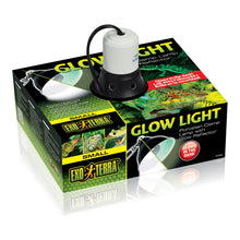 Exo Terra Glow Light Terrarium Lamp Fixture | Dome Lighting Fixture | 14 cm