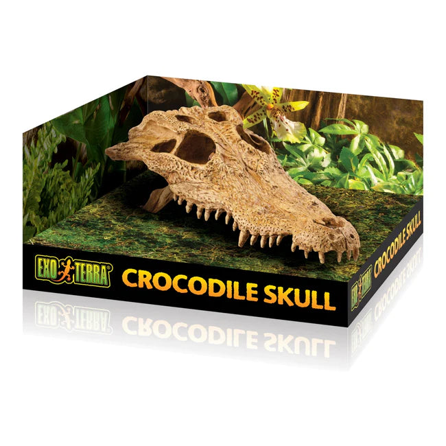 Exo Terra Crocodile Skull | Reptile Terrarium Decoration & Hideout