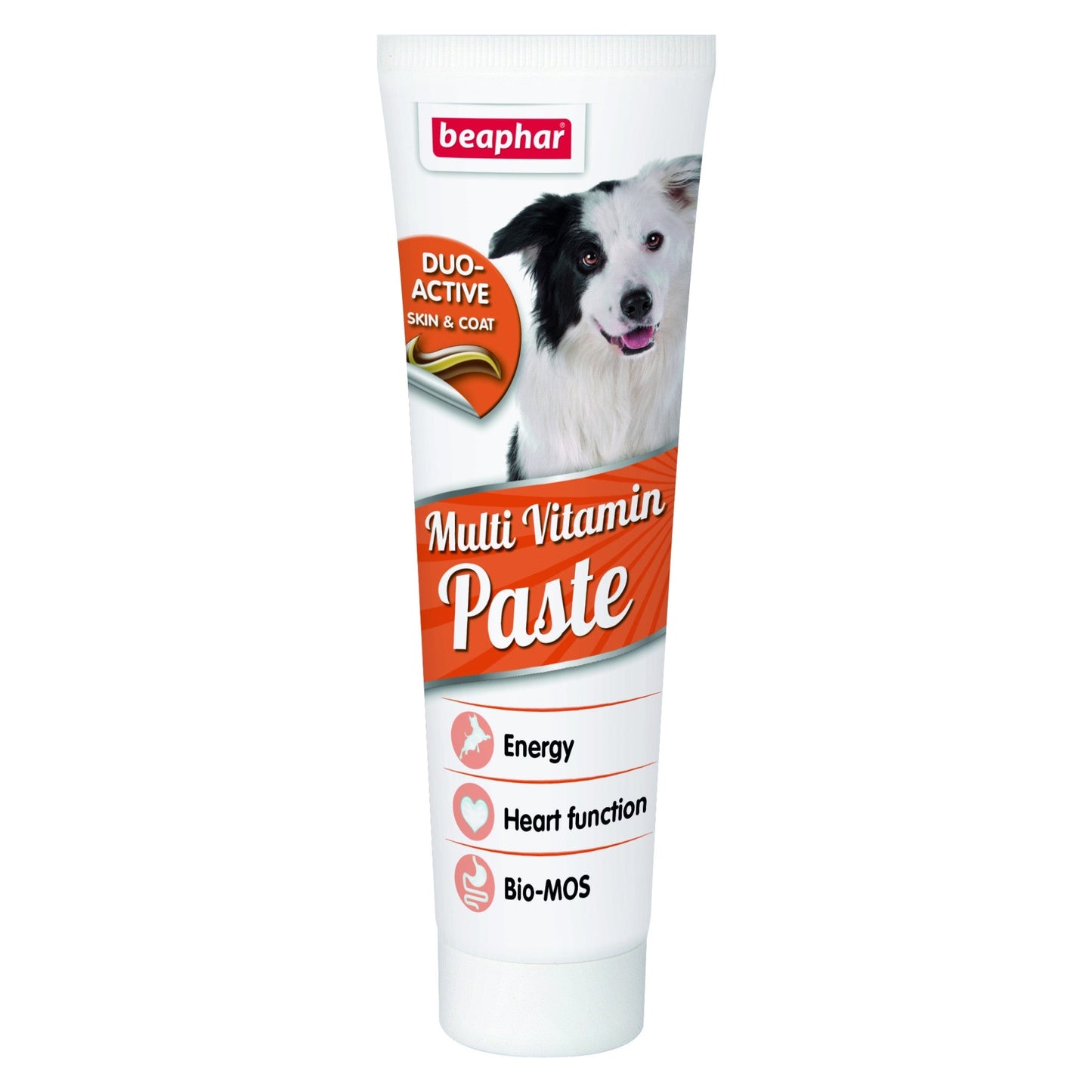 Beaphar Duo Active Paste Multivitamin Dog 100 g