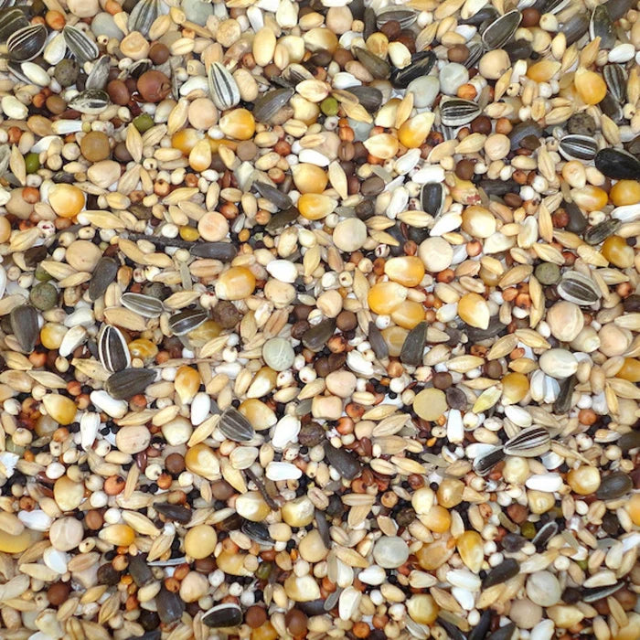 Farma Moulting Diet Pigeon Food – 20 kg | 23-Seed High Quality Feed