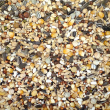 Farma Moulting Diet Pigeon Food – 20 kg | 23-Seed High Quality Feed