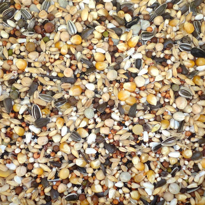 Farma Moulting Diet Pigeon Food – 20 kg | 23-Seed High Quality Feed