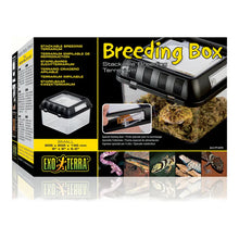 Exo Terra Reptile & Amphibian Breeding Box | Stackable Enclosure | Small