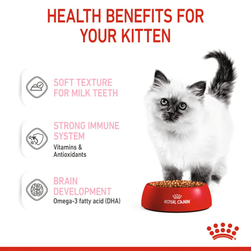 Royal Canin FHN Kitten Gravy Wet Cat Food Pouches 85g – Pack of 12