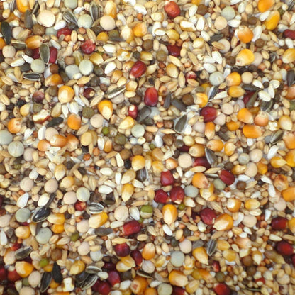 Farma Racing Special Premium Pigeon Food, Multi-Seed Blend, 20 kg