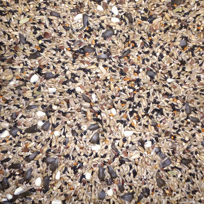 Farma Wild Bird Mix – Natural Bird Food 20 kg | Multi-Seed Blend for Garden Birds
