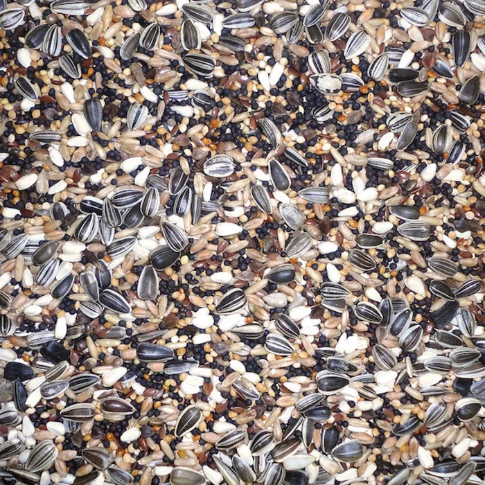 Farma Finch Mix Natural Bird Food – 20 kg | 13-Seed Blend for All Finches