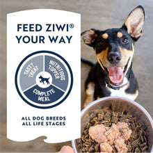 ZIWI Peak Beef Recipe Wet Dog Food
