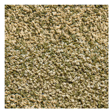 Sera Vipagran Baby 100ml[Volume - 100ml]