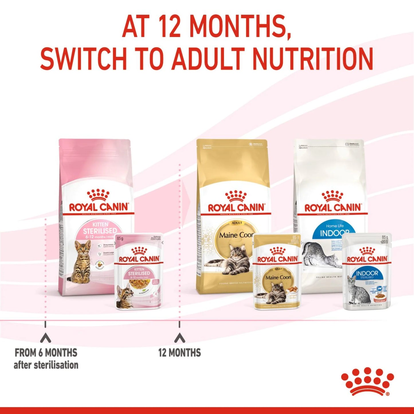 Royal Canin Kitten Sterilised Jelly Wet Cat Food Pouches 12x85g