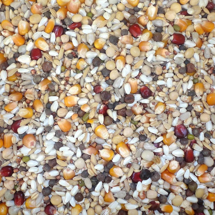 Farma Racing Special Derwa Hot Climate Pigeon Feed – 20 kg