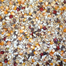 Farma Racing Special Derwa Hot Climate Pigeon Feed – 20 kg