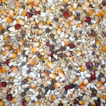 Farma Racing Special Derwa Hot Climate Pigeon Feed – 20 kg