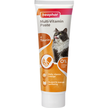 Beaphar Multi Vitamin Paste Cat 100 g