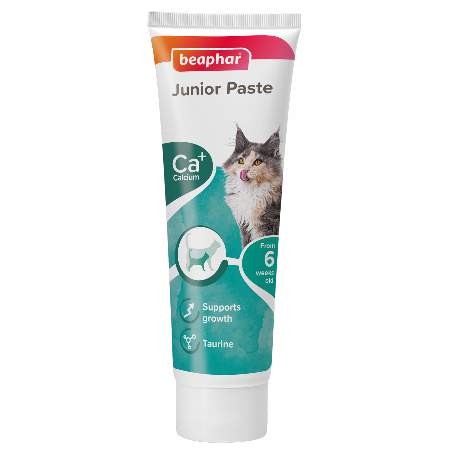 Beaphar Junior Paste for Cats 100 g