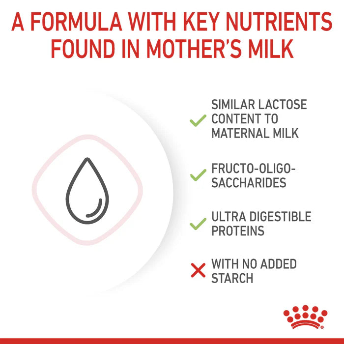 Royal Canin Babycat Milk Powder 300G