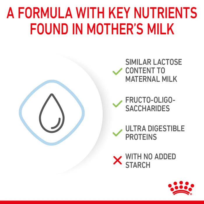 Royal Canin Babydog Milk 400G