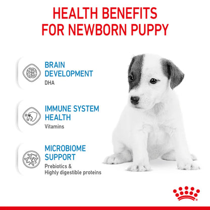 Royal Canin Babydog Milk 400G